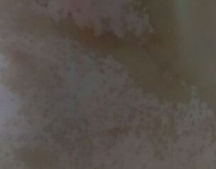 人综ЩʳǲܳԵģ